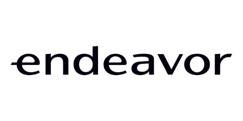 endeavor